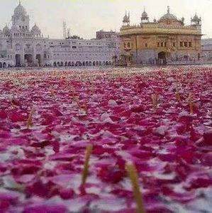 Meet your Posher, Partap